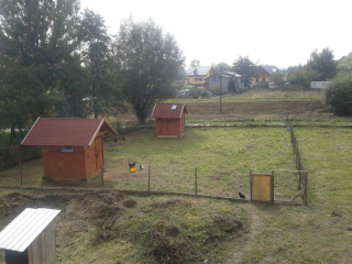cache_2442951468.jpg